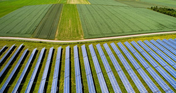 Field full of solar panels