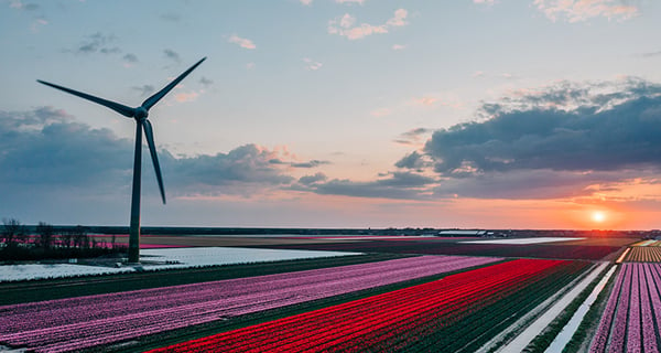 Wind turbine